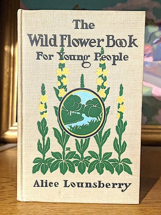 The Wild Flower Book For Young People
