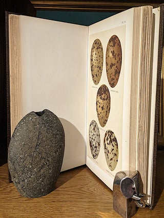 A History of British Birds with Coulored Illustrations of Eggs 1883-85