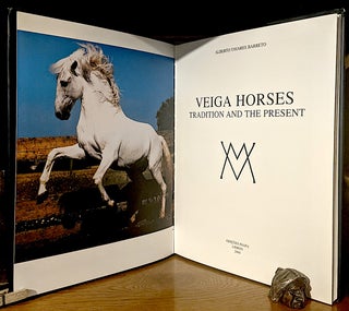 Veiga Horses: Tradition and the Present