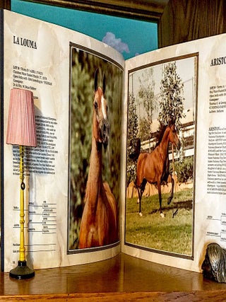 Item #9477 The Lasma Sale V. A Unique Collection. A Sale of the Finest Mares for the Worlds Most...
