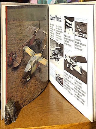 Compaginia Generale Caproni. Structures, Activities-Strategies, Market Fields